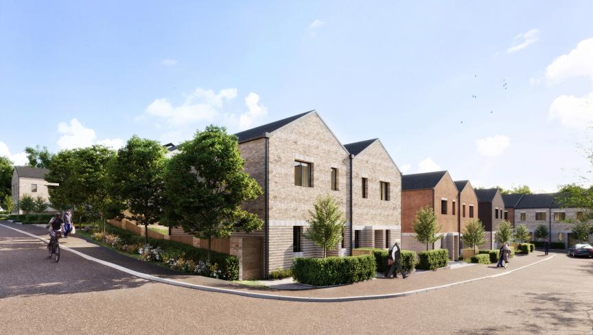 Coopers Hill regeneration